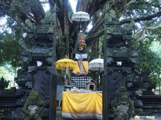 Individuele rondreis Bali Tirta Empul