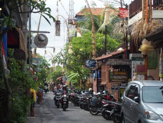Vakantie Bali in Ubud